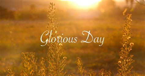3, Glorious Day (Living He Loved Me) ; 4, My Jesus, I Love Thee ; 5, Blessed Redeemer ; 6, At Calvary ; 7, Praise You In This Storm.